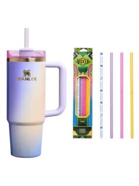 NWT Stanley x Wicked Glinda For Good 40 Oz Quencher Tumbler & Straws 4- Pack